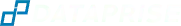 Dataprise-Logo.png